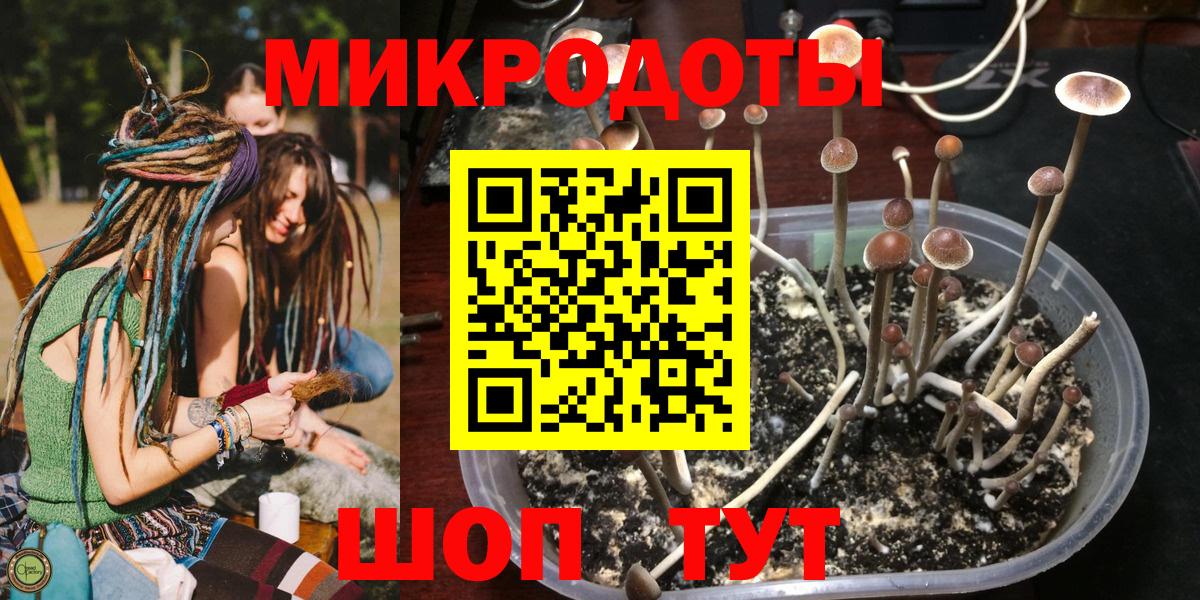 Галлюциногенные грибы ЛСД Торжок