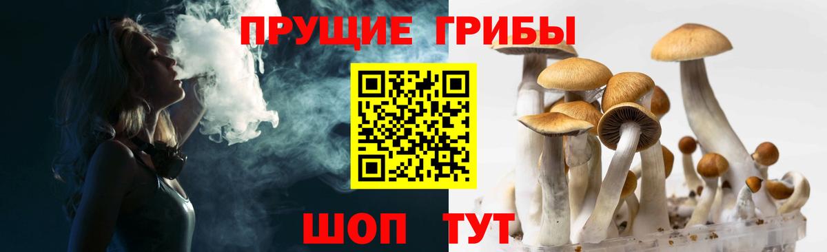 Торжок  магазин  наркотиков  Вход с VPN  Псилоцибиновые грибы ЛСД 